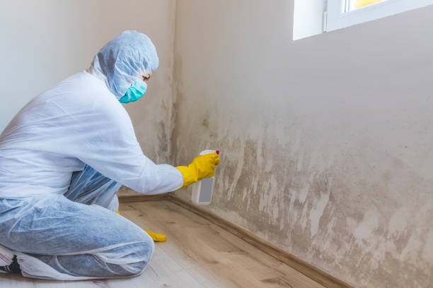 Licensed Mold Remediation service in Rocky Hill, NJ - 24 Hour Mold Removal