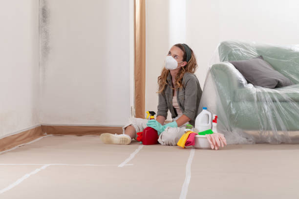 Reliable Mold Remediation contractor in Rocky Hill, NJ by 24 Hour Mold Removal